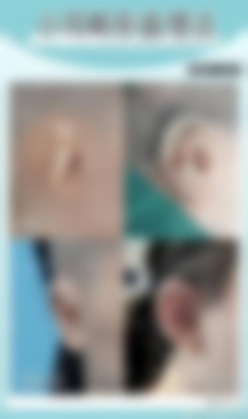 河北北方学院附属前列医院核心项目