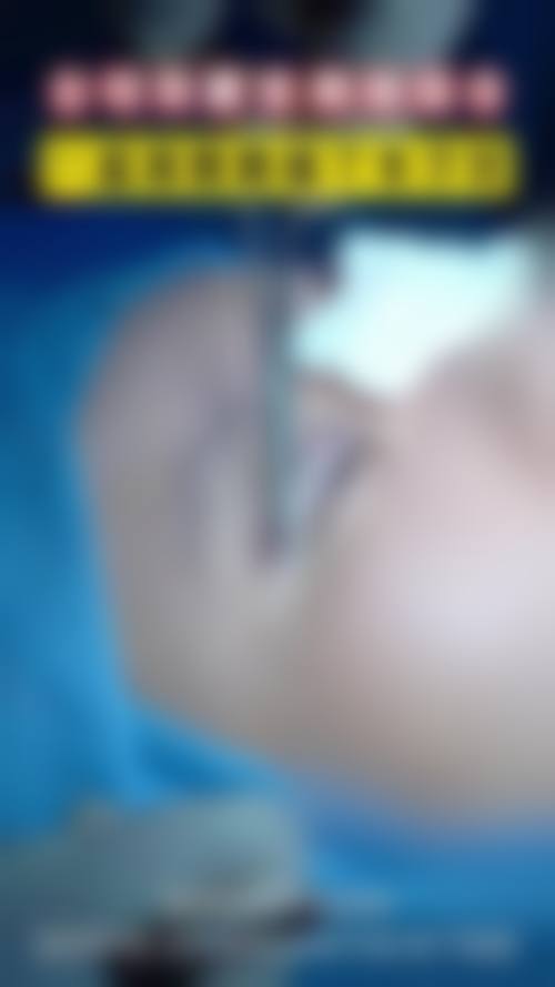 金晛珠擅长项目列表