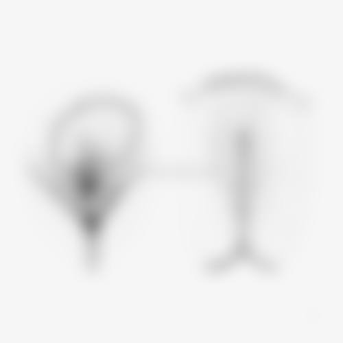 兰晓玲技术水平评价