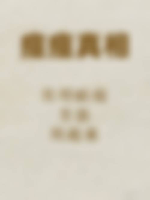 孙颖技术水平评价