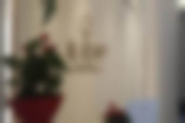 长沙县美颜树轻医美医生团队