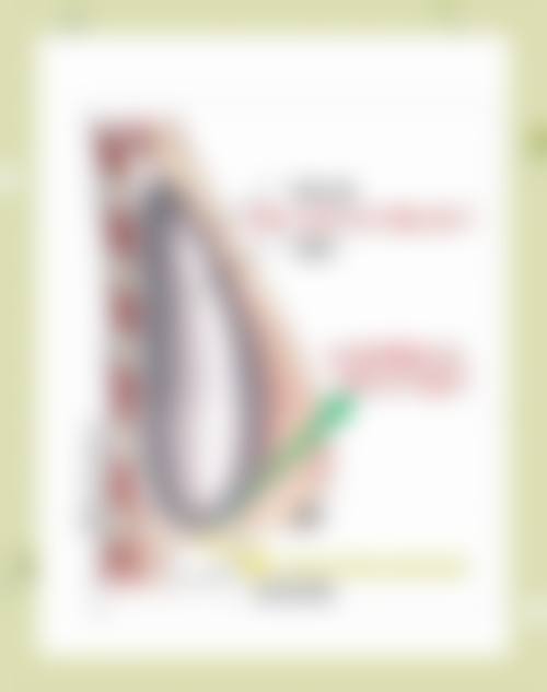 姜广霞预约方式