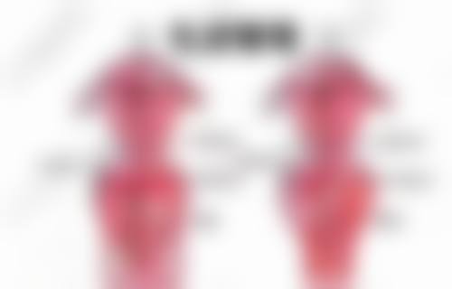 陈善闻擅长项目列表