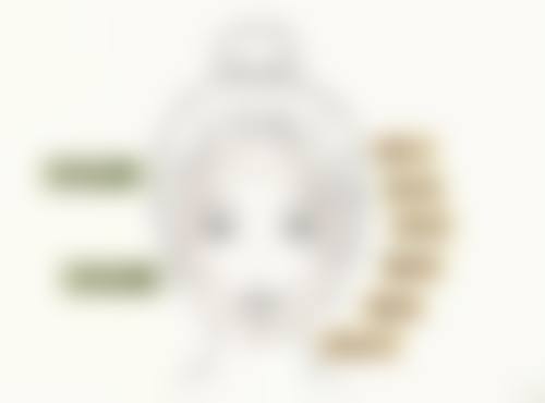 汪志明技术水平评价