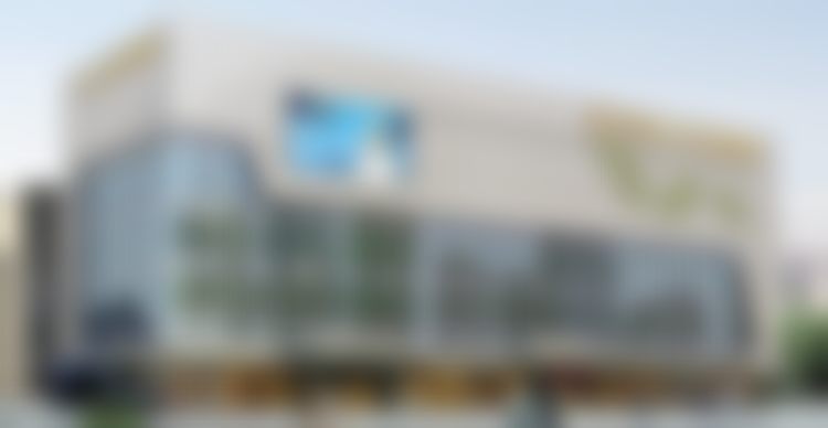 杨春梅擅长项目列表