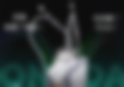 广州中 医 药大学第一附属医院医生团队