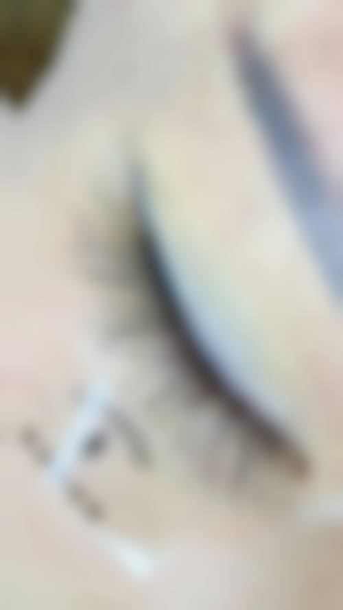 重庆市永川区中医院(美容科)正规吗？看资质