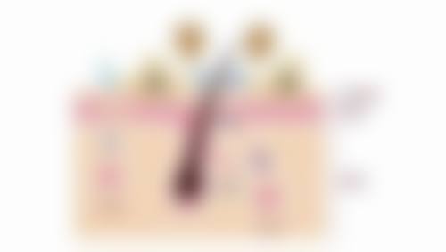 胡中华预约方式