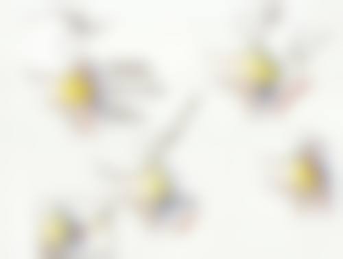 郑州美眼医疗美容中 心怎么预约?