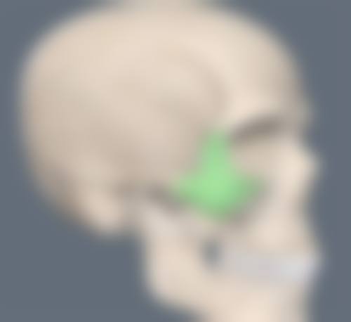 滕可颖擅长项目列表