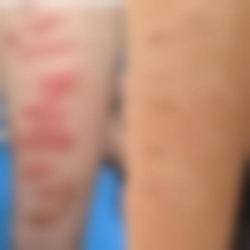 赵书英预约方式