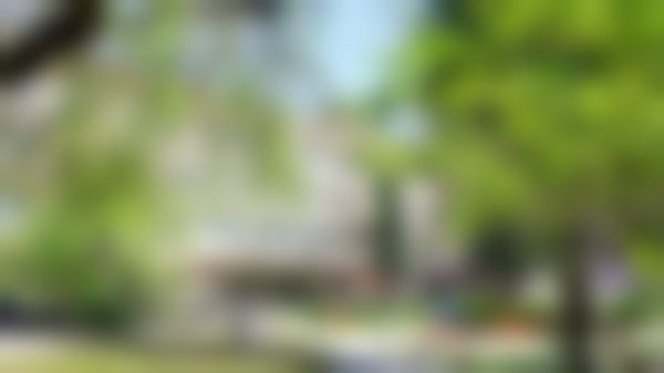 蔡圣民擅长项目列表