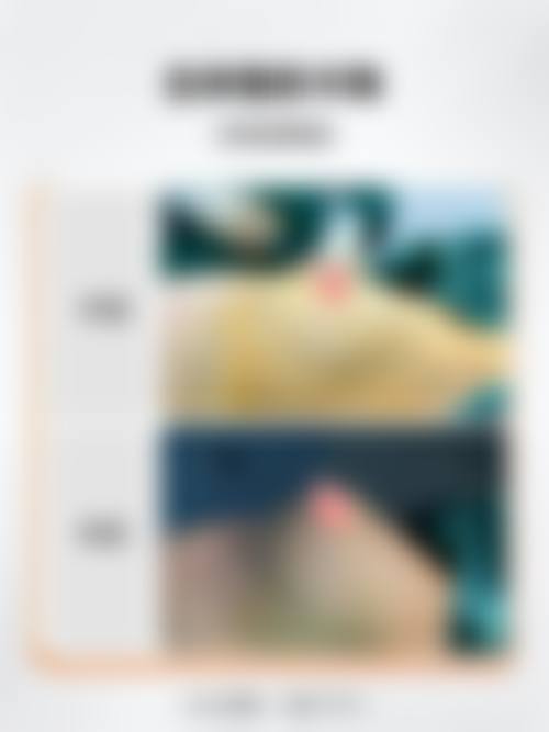 邹剑技术水平评价