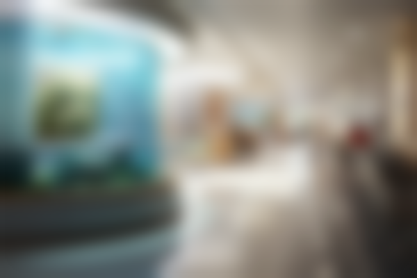 西安市人民医院(医疗美容科)