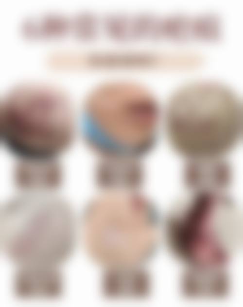 张岿擅长项目列表