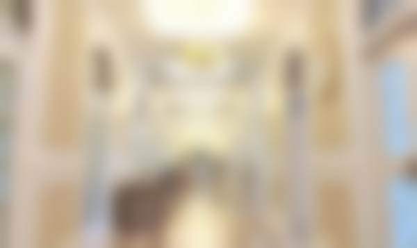 蒋丽芳技术水平评价