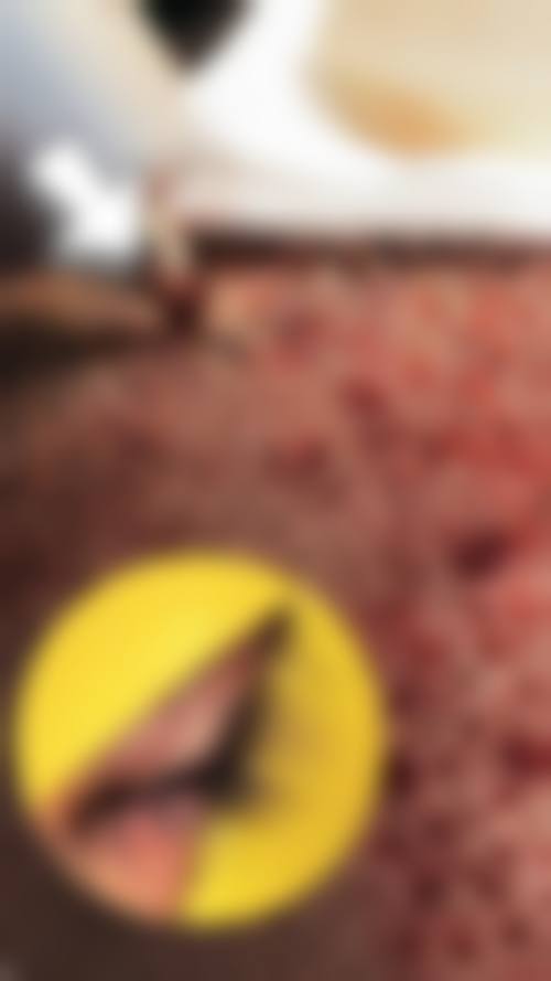 四川遂宁西西医疗美容基本信息