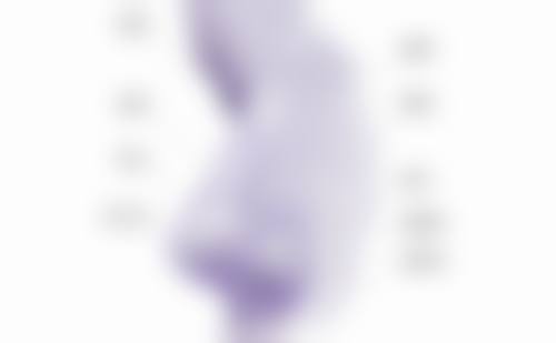 杨轩文预约方式及价格表