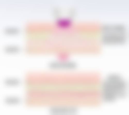 泉州亿露美医疗美容门诊部正规吗？看资质