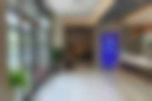 大连大麦微针植发医疗美容诊所核心项目