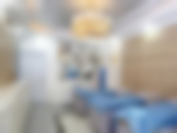 佛山市禅城区苏李秀英医院基本信息