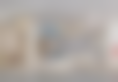 秦军侠擅长项目列表