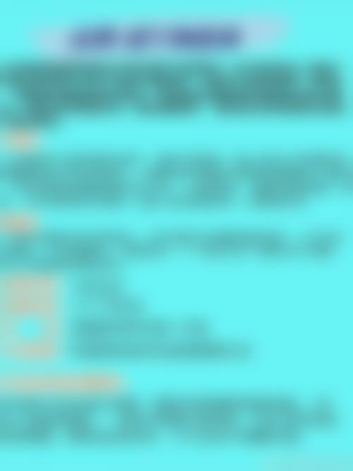 牟敏技术水平评价