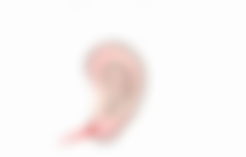 杭州橙枝医疗美容诊所价格表(仅供参考)