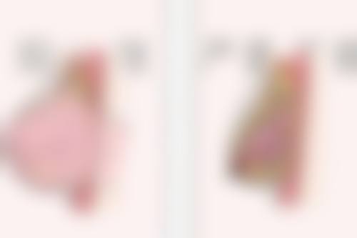 伊宁王茜医疗美容整形诊所擅长项目