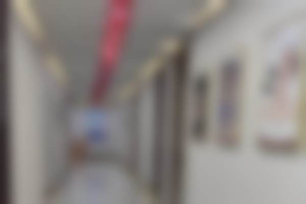 王丽颖擅长项目列表