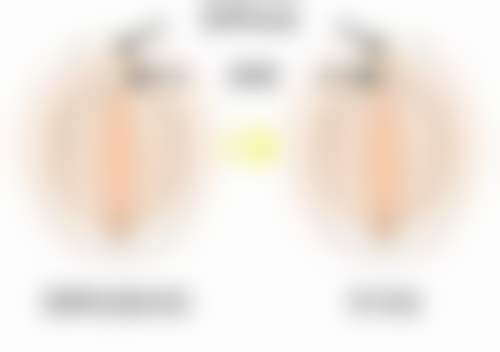 阮细定预约方式及价格表