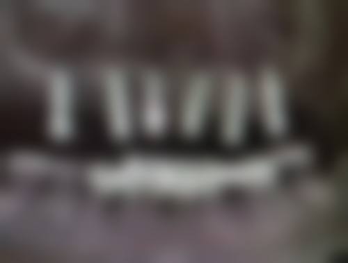 王黎娜擅长项目列表