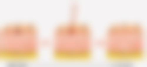 鲁权预约方式及价格表