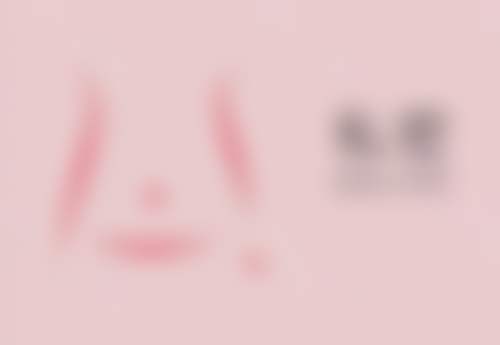 袁紫芳技术水平评价