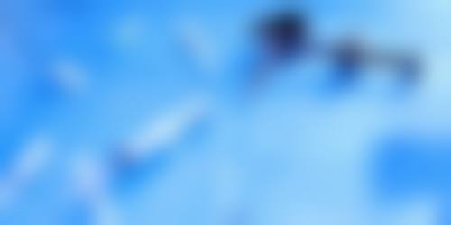 焦作卫校医疗整形美容中 心价格表（仅供参考）