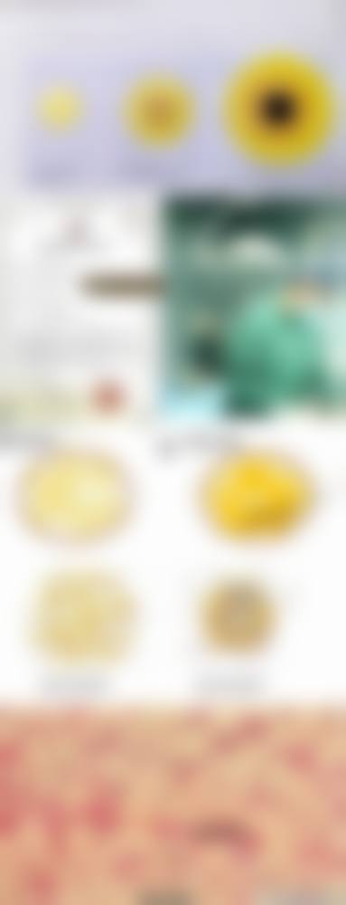 邹剑擅长项目列表