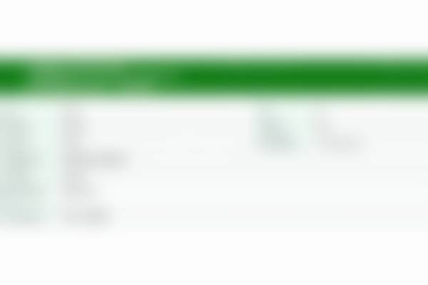 石楷技术水平评价