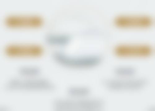 孙长青擅长项目列表