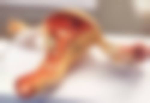 孙长青预约方式及价格表