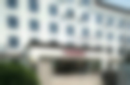 柴高尚技术水平评价