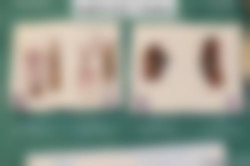 太原花妍年华整形医疗美容门诊部怎么预约？