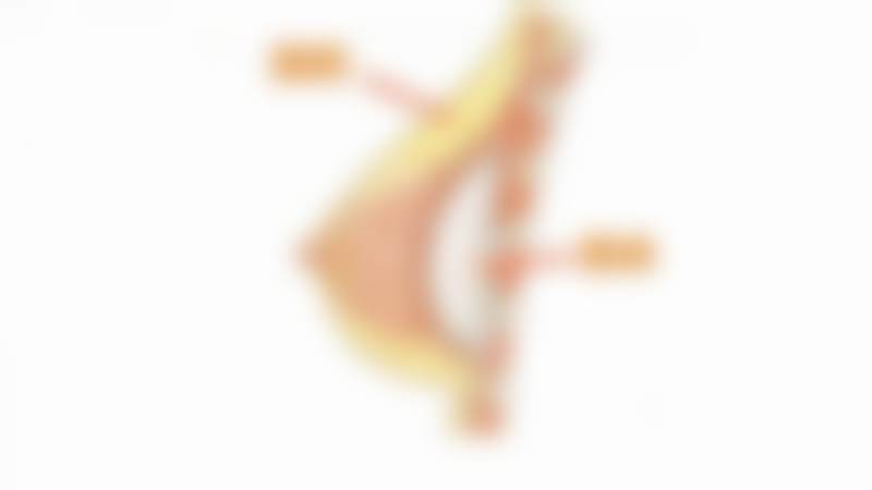 董茂林擅长项目列表