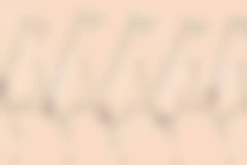 苏州艺美格整形医院擅长项目