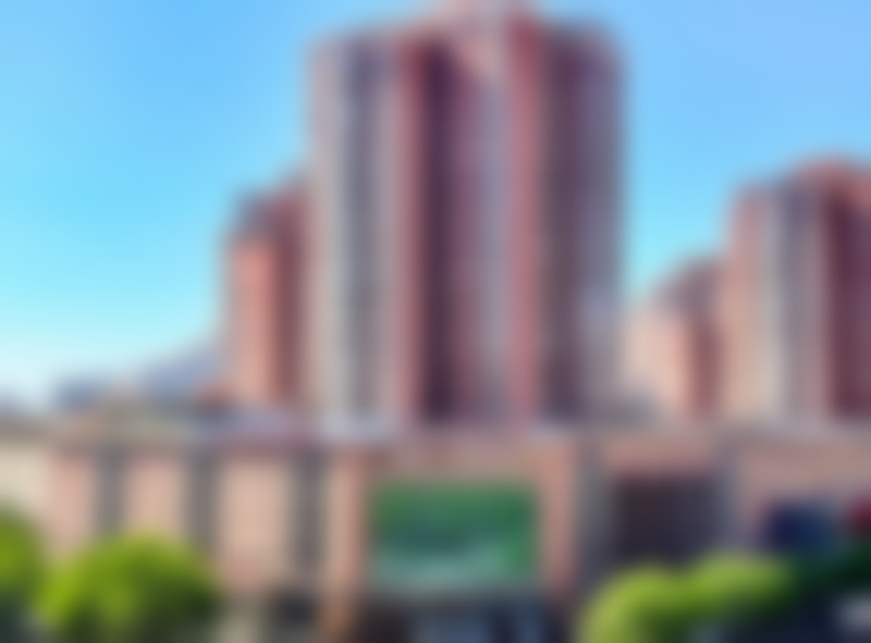 宋可新技术水平评价