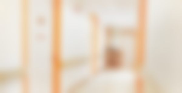 李真（永登浦兰斯院长）技术水平评价