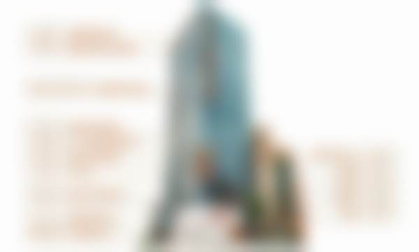 李真（永登浦兰斯院长）擅长项目列表