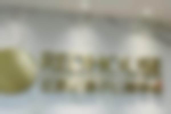 曹志金预约方式及价格表