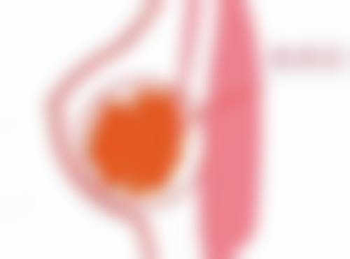 武警黑龙江总队医院整形美容科擅长项目