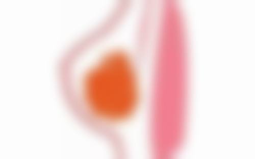 武警黑龙江总队医院整形美容科交通