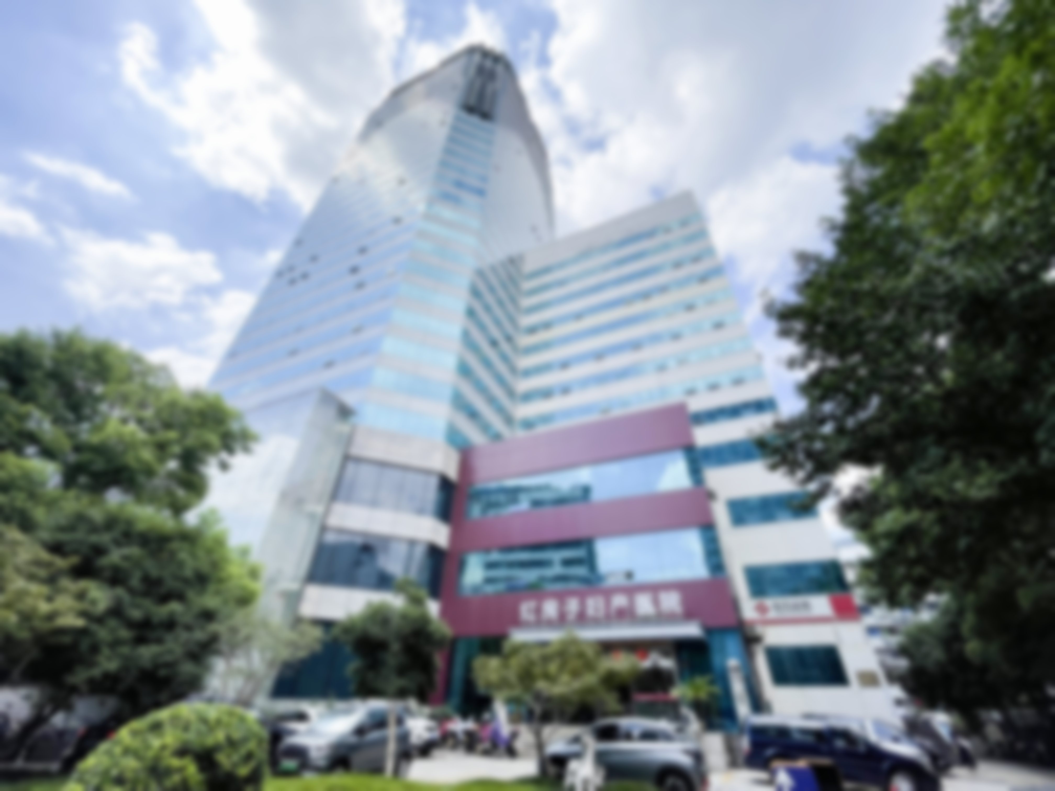 宋文擅长项目列表